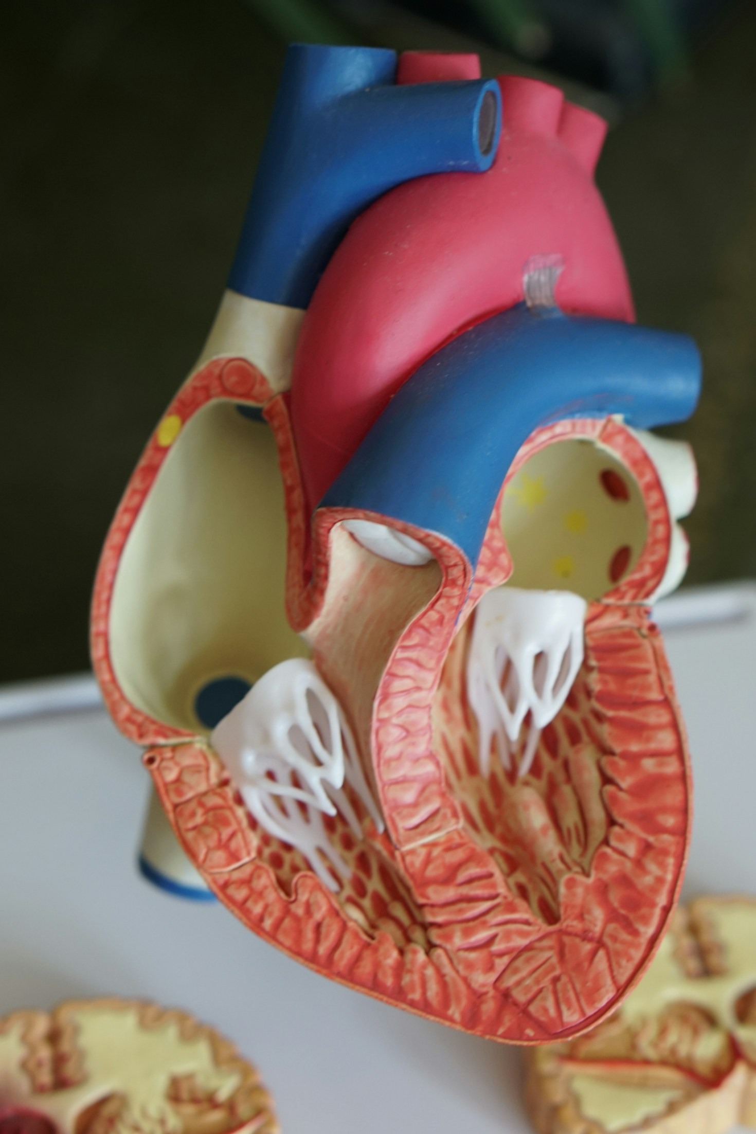 Innovazioni nella gestione delle informazioni sanitarie